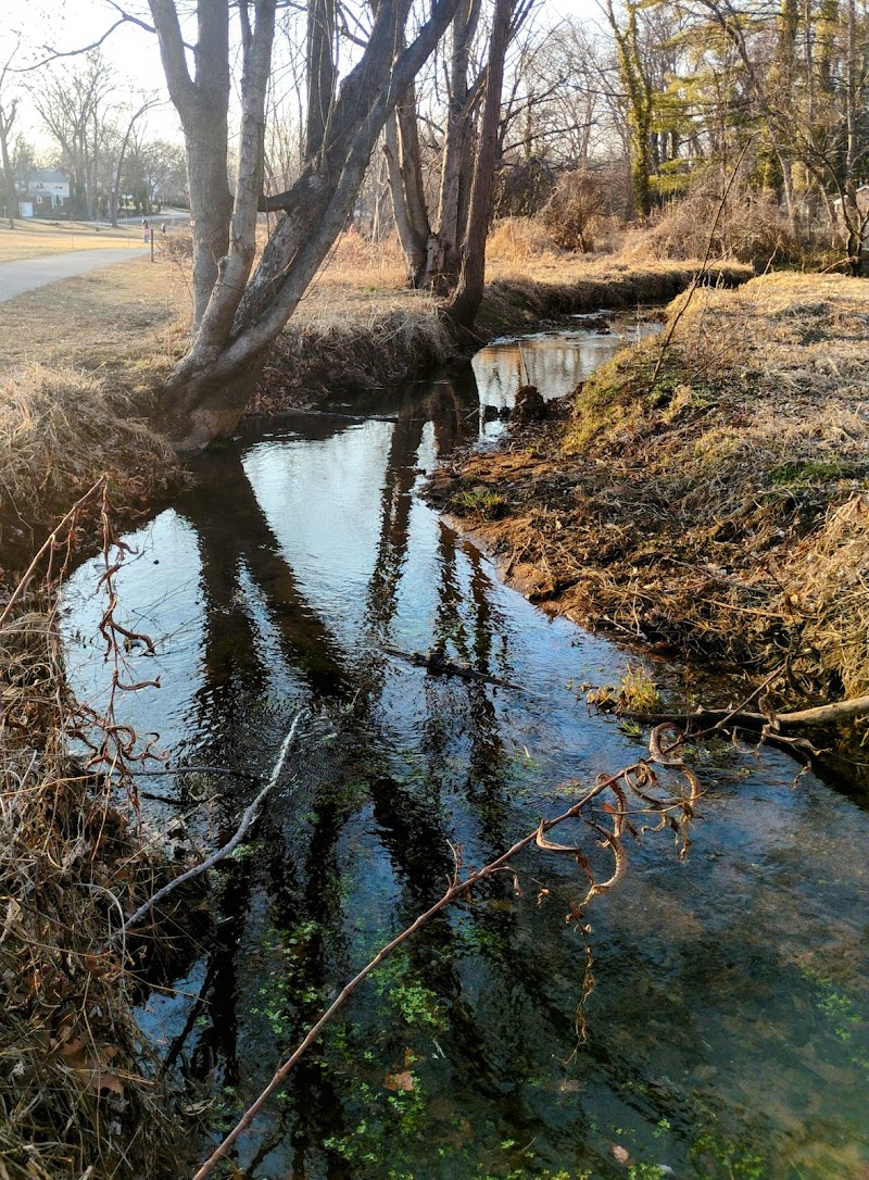Audubon Lake - US, NJ