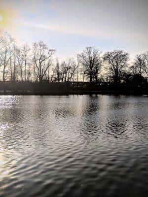Audubon Lake