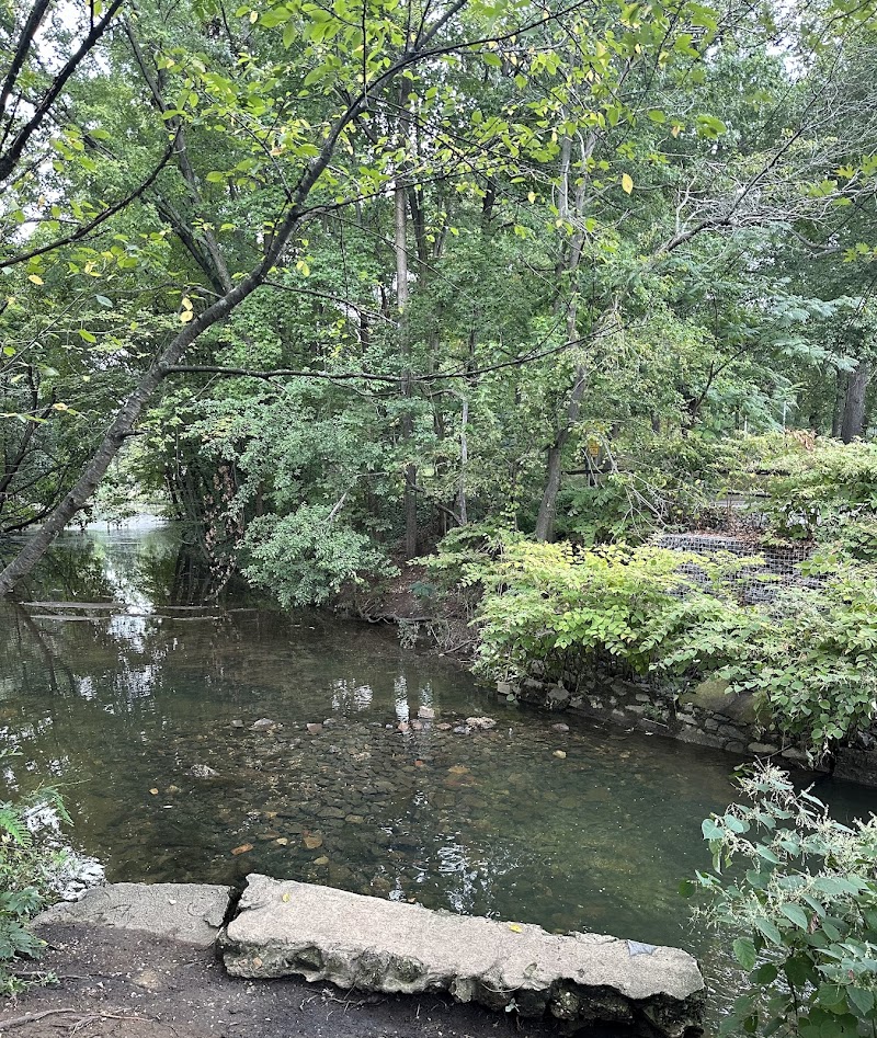 Audubon Lake - US, NJ
