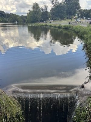 Audubon Lake