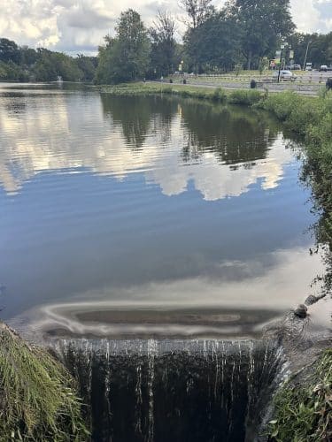 Audubon Lake