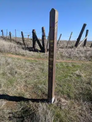 Bay Area Ridge Trail