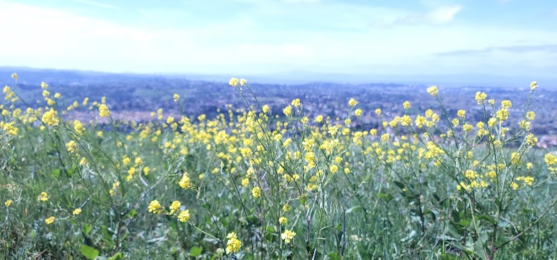 Bay Area Ridge Trail - Vallejo, CA