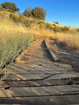 Bay Area Ridge Trail