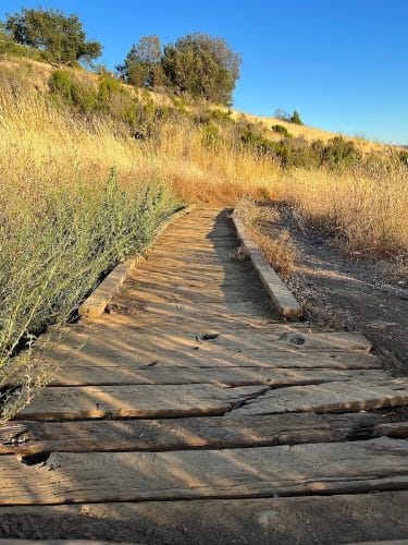 Bay Area Ridge Trail