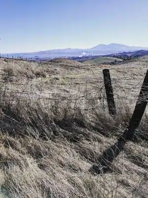 Bay Area Ridge Trail