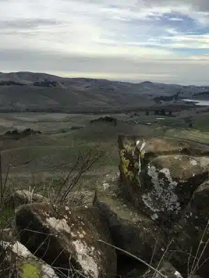 Bay Area Ridge Trail