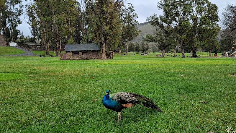 Blue Rock Springs Park - Vallejo, CA