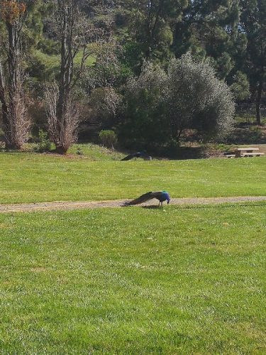 Blue Rock Springs Park