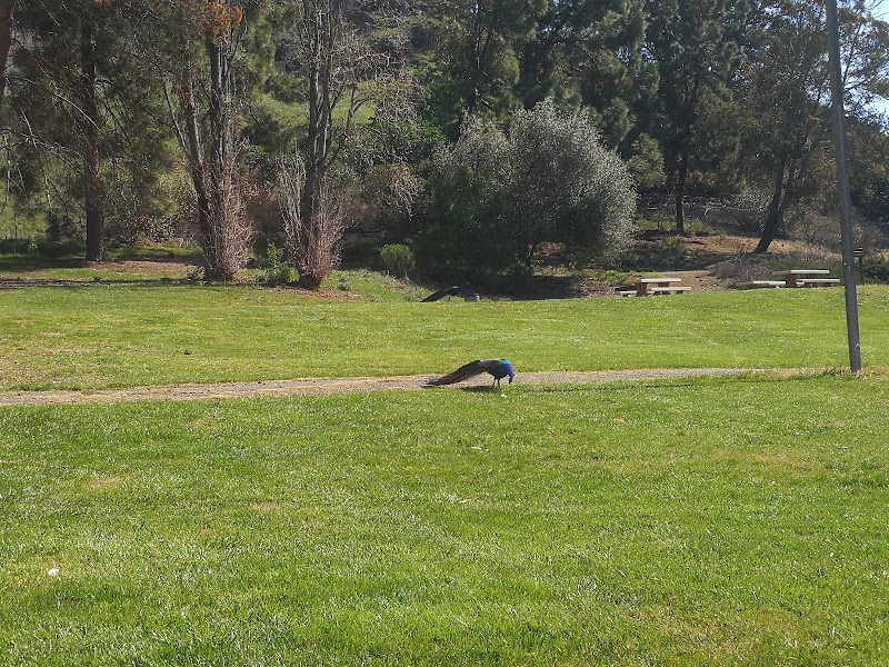 Blue Rock Springs Park - Vallejo, CA