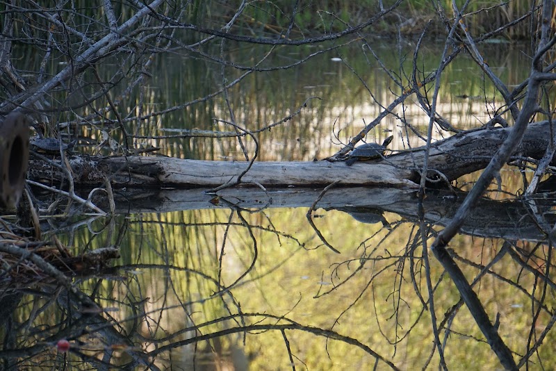 Blue Rock Springs Park - Vallejo, CA
