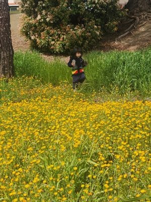 Borges Ranch Park
