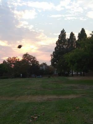 Borges Ranch Park