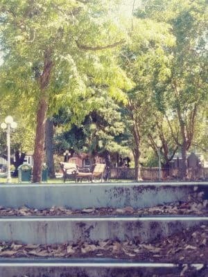 City Park