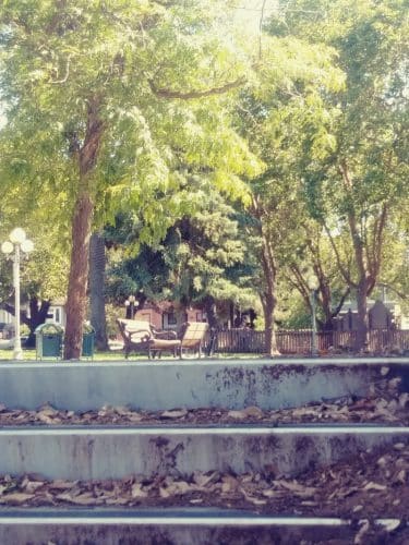 City Park