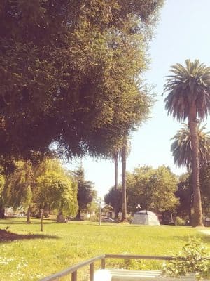 City Park