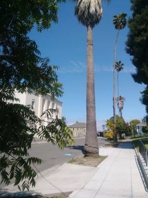 City Park