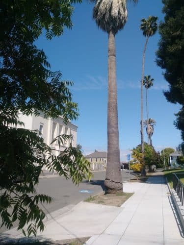 City Park