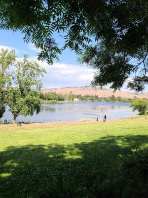 Dan Foley Park