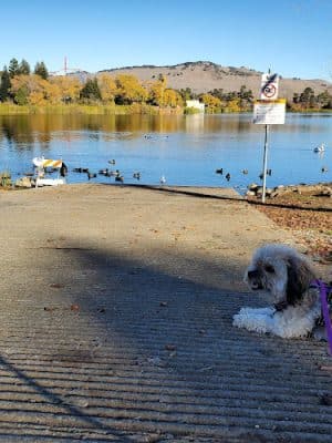 Dan Foley Park