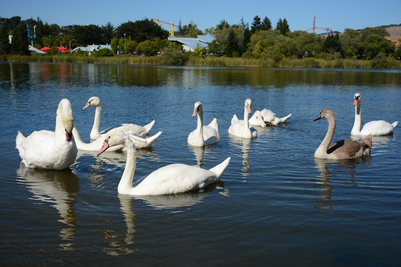 Dan Foley Park - Vallejo, CA