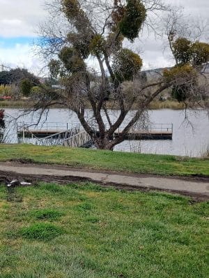 Dan Foley Park