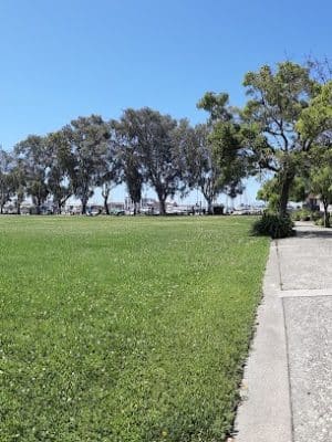 Dolores Huerta Park