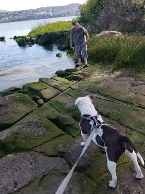 Glen Cove Waterfront Park