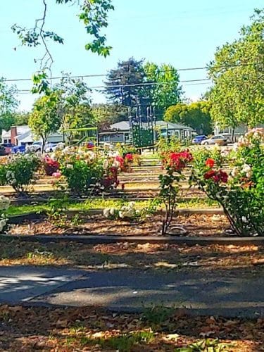 Grant Mahony Park
