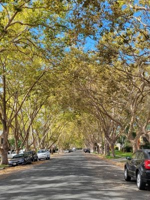 Grant Mahony Park