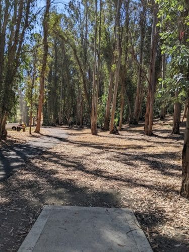 Hanns Park