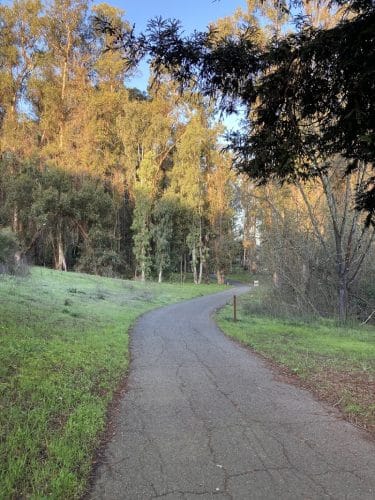 Hanns Park