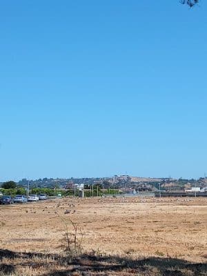 Independence Park