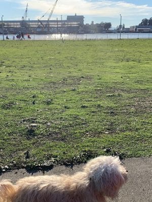 Independence Park