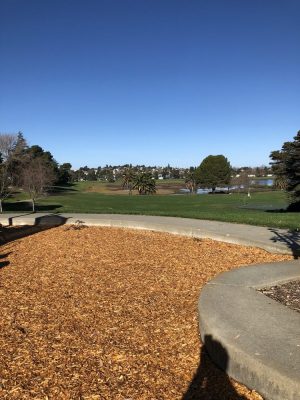 Lake Dalwigk Park