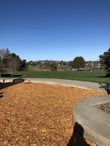 Lake Dalwigk Park