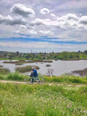 Lake Dalwigk Park
