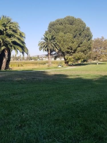Lake Dalwigk Park
