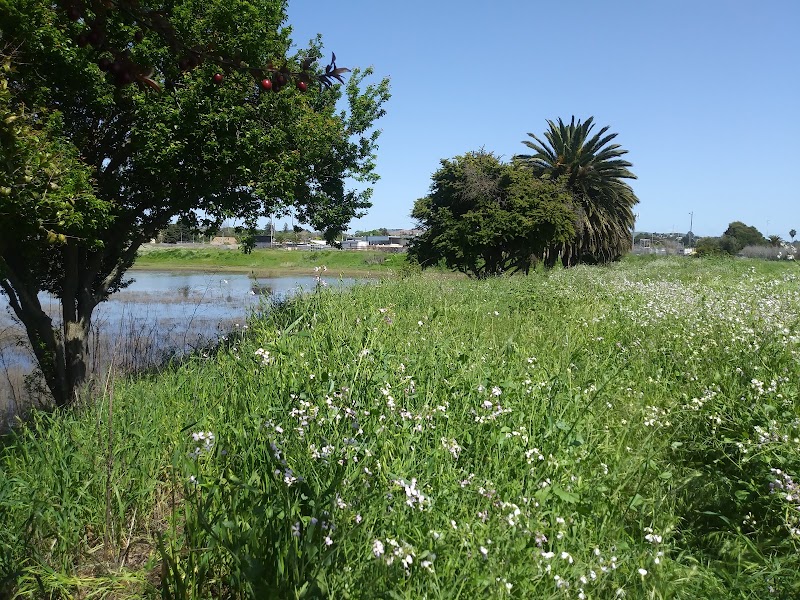Lake Dalwigk Park - Vallejo, CA