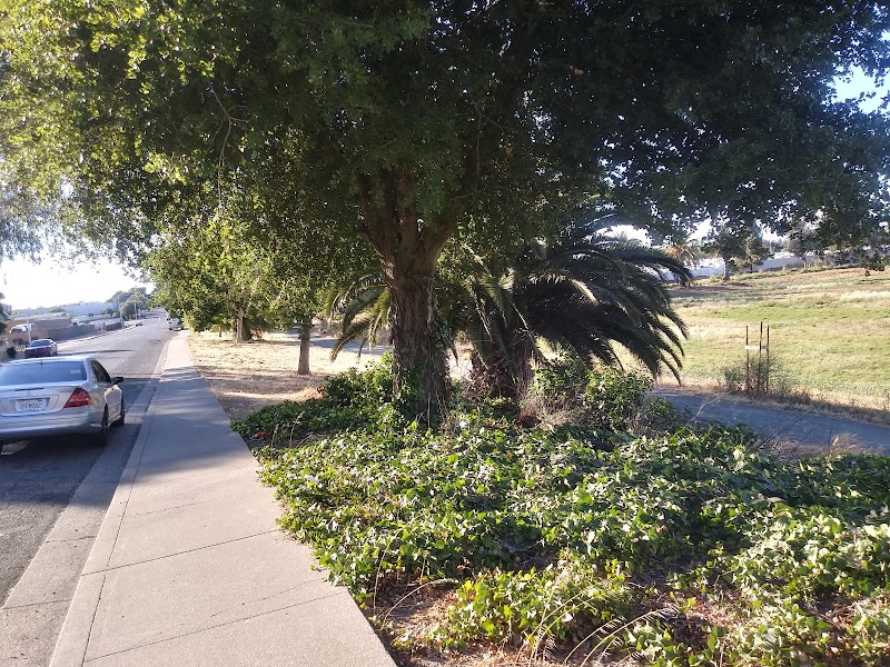 Lake Dalwigk Park - Vallejo, CA