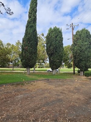 Richardson Park