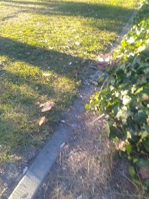 Richardson Park
