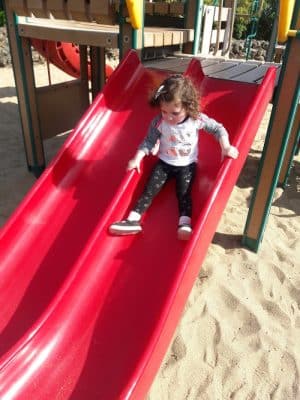 Sheveland Park