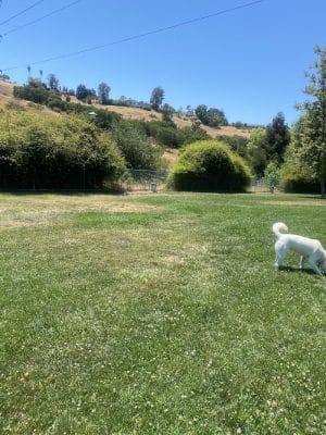 Wardlaw Park