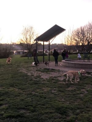 Wardlaw Park