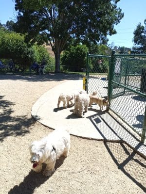 Wardlaw Park