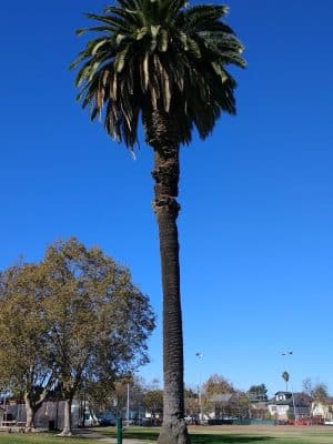 Washington Park