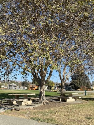 Washington Park