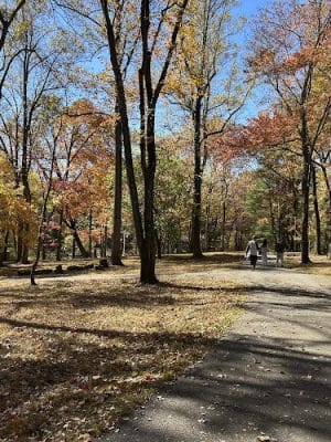 The Medal of Honor Grove