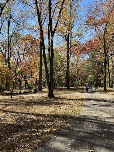 The Medal of Honor Grove